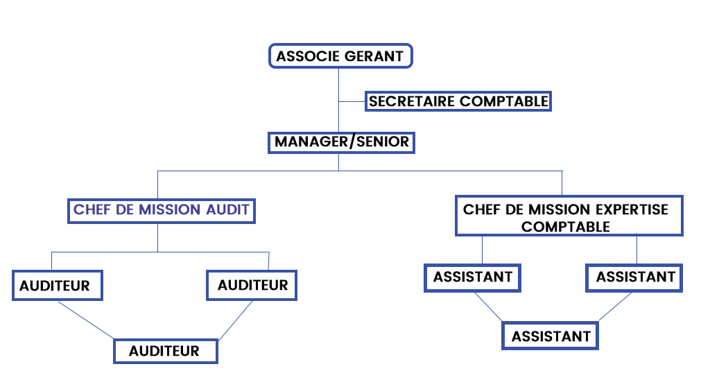 Notre Equipe Mam Ec